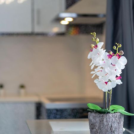 Santorita Suites Akrotírion المظهر الخارجي الصورة