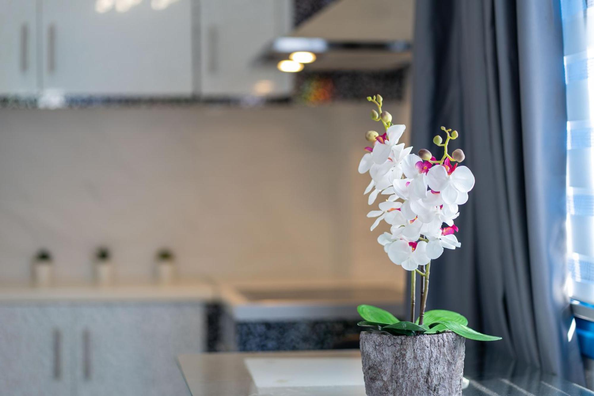 Santorita Suites Akrotírion المظهر الخارجي الصورة