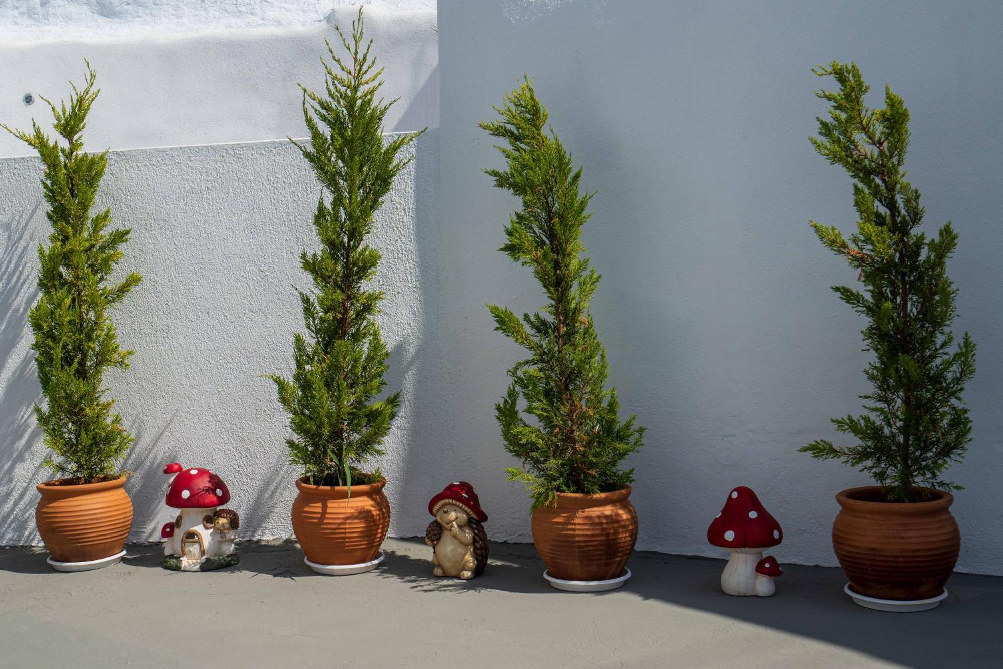 Santorita Suites Akrotírion المظهر الخارجي الصورة